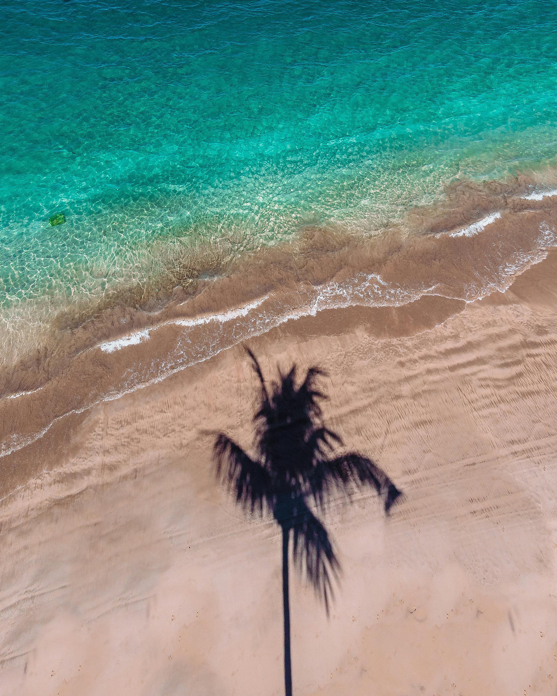 Meer und Palmen